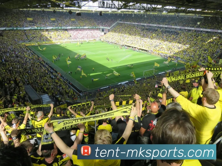 mk体育服务体系